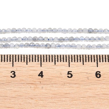 Natural Labradorite Beads Strands(G-RM250104-B4)-4