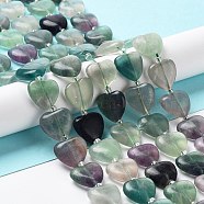 Natural Fluorite Beads Strands, with Seed Beads, Heart, 14~15x15x6~6.5mm, Hole: 1.4mm, about 23~24pcs/strand, 14.57''(37cm)(G-E614-A13-01)