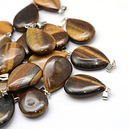 Teardrop Natural Tiger Eye Pendants, with Platinum Tone Brass Findings, 25~29x16~17x5~6mm, Hole: 2x7mm(G-Q368-06)