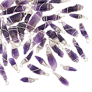 40Pcs 2 Styles Rough Natural Amethyst Pendants, with Silver Tone Copper Wire Wrapped, Nuggets Charm, 21~31.5x7~12x6~10mm, Hole: 2.5~3.5mm, 20pcs/style(FIND-DC0001-82)
