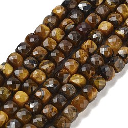 Natural Tiger Eye Beads Strands, Faceted, Cube, 4.5~5x4.5~5x4.5~5mm, Hole: 0.7mm, about 82~85pcs/strand, 15.16~15.55''(38.5~39.5cm)(G-H042-A04-03)