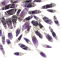 40Pcs 2 Styles Rough Natural Amethyst Pendants, with Silver Tone Copper Wire Wrapped, Nuggets Charm, 21~31.5x7~12x6~10mm, Hole: 2.5~3.5mm, 20pcs/style(FIND-DC0001-82)