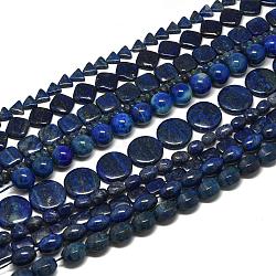 Natural Lapis Lazuli Beads Strands, Mixed Shape, 5~25x8~25x4~16mm, Hole: 0.6mm, about 16pcs/strand, 15.35''~15.75''(39~40cm)(G-K311-14)