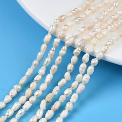 Natural Cultured Freshwater Pearl Beads Strands, Rice, Seashell Color, 3.5~6x3~4mm, Hole: 0.7mm, about 72~76pcs/strand, 13.58 inch~13.98 inch(34.5cm~35.5cm)(PEAR-N012-03C)