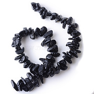 Natural Tektite Bead Strands, Chip, 15~19x6~13x5~11mm, Hole: 1mm, about 66pcs/strand, 15.3 inch(X-G-R356-03)