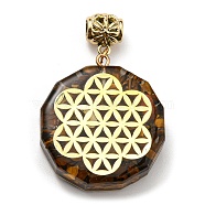 Natural Tiger Eye European Dangle Polygon Charms, Large Hole Pendant with Golden Plated Alloy Flower Slice, 53mm, Hole: 5mm, Pendant: 39x35x11mm(PALLOY-K012-01E-03)