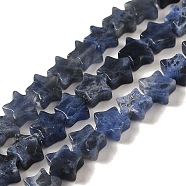 Natural Sodalite Beads Strands, Star, 6x5.5x2mm, Hole: 0.8mm, about 75pcs/strand, 14.57 inch(37cm)(G-G085-B18-02)
