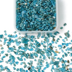 60G(672pcs) Natural Apatite Chip Beads, No Hole/Undrilled, 2~12x2~10x1~3mm(G-YW0001-83)