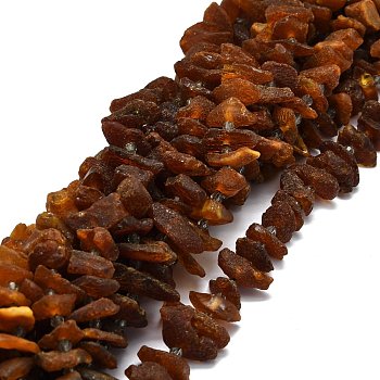 Natural Amber Beads Strands, Nuggets, 13~25x9~12x3~10mm, Hole: 1.8mm, about 51pcs/strand, 15.35''(39cm)