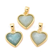 Natural Amazonite Charms, with Real 18K Gold Plated Brass Findings, Long-Lasting Plated, Lead Free & Cadmium Free, Heart, 12x11.5x5mm, Hole: 4x3mm(G-E538-02G-05)