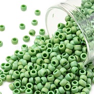 TOHO Round Seed Beads, Japanese Seed Beads, (407F) Green Opaque Rainbow Matte, 8/0, 3mm, Hole: 1mm, about 1110pcs/50g(SEED-XTR08-0407F)