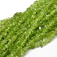 Natural Olive Quartz Chip Beads Strands, 5~14x4~10mm, Hole: 1mm, about 15.5 inch~16.1 inch(X-G-E271-89)