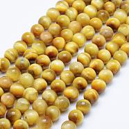Natural Gold Tiger Eye Beads Strands, Round, 8mm, Hole: 1mm, about 47~48pcs/strand, 15.5 inch(39.5cm)(G-K203-84-8mm)