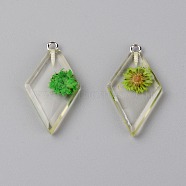 Transparent Clear Resin Pendants, with Dried Flower, Platinum Iron Loop, Rhombus, Lime, 32x18x4mm, Hole: 1.5mm, 2pcs/bag(RESI-TAC0007-06C)