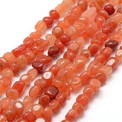 Natural Red Aventurine Beads Strands, Chip, 3~5x3~5x3~8mm, Hole: 1mm; about 85~90pcs/strand, 15.7 inches(40cm)(G-F465-42)