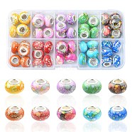 60pcs 10 Colors Opaque Resin European Beads, Imitation Crystal, Two-Tone Large Hole Beads, with Silver Tone Brass Double Cores, Rondelle, Mixed Color, 14x9.5mm, Hole: 5mm, 6pcs/color(RPDL-YW0001-03)