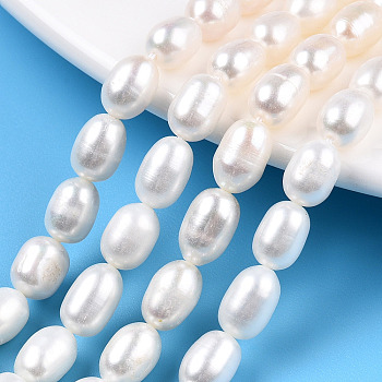 Natural Cultured Freshwater Pearl Beads Strands, Rice, Seashell Color, 7~11.5x6~6.5mm, Hole: 0.7~0.8mm, about 38~45pcs/strand, 14.37 inch(36.5cm)