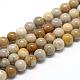 Natural Fossil Coral Beads Strands(G-R446-8mm-28)-1