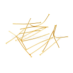 304 Stainless Steel Flat Head Pins, Golden, 30x0.6mm, Head: 1.4mm(STAS-L244-02D-G)