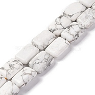 Natural Howlite Beads Strands, Rectangle, 18x13.5x5.5mm, Hole: 1.2mm, about 22pcs/strand, 15.75 inch(40cm)(G-T047-B23-01)