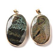 Natural Brazil Turquoise Pendants, Golden Plated Brass Oval Charms with Iron Snap on Bails, 43~45x25~27x8mm, Hole: 7x4mm(KK-F868-10KCG)