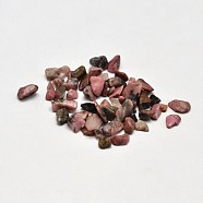 Natural Rhodonite Chip Beads, No Hole/Undrilled, 2~8x2~4mm, about 8500pcs/500g(G-O103-05)