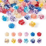 72Pcs 2 Style 6 Colors Smudged Color Opaque Resin Cabochons, Rose, Mixed Color, 22~23x9~13mm, 6pcs/color(RESI-CD0001-19)