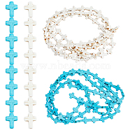 6 Strands 2 Colors Synthetic Turquoise Beads Strands, Dyed, Cross, Mixed Color, 16x12x3.5mm, Hole: 1mm, about 25pcs/strand, 15.75''(40.00cm), 3 strands/color(TURQ-DC0001-02)