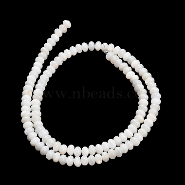 Natural Freshwater Shell Beads Strands(SHEL-C010-04B-02)-3