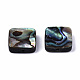 Natural Abalone Shell/Paua Shell Beads(SSHEL-T014-12A)-2