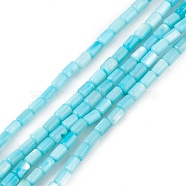 Natural Freshwater Shell Dyed Beads Strands, Column, Light Blue, 4.8x3mm, Hole: 0.8mm, about 78pcs/strand, 14.96''(38cm)(SHEL-M018-12-05)