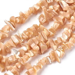 Freshwater Shell Beads Strands, Chip, Seashell Color, 5~22x3~10mm, Hole: 0.5mm, 31.9~32.7 inch(81~83cm)(BSHE-O017-11)