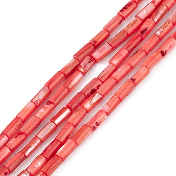 Natural Freshwater Shell Dyed Beads Strands, Column, Orange Red, 8x4mm, Hole: 0.8mm, about 46pcs/strand, 14.96''(38cm)