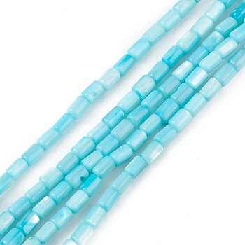 Natural Freshwater Shell Dyed Beads Strands, Column, Light Blue, 4.8x3mm, Hole: 0.8mm, about 78pcs/strand, 14.96''(38cm)