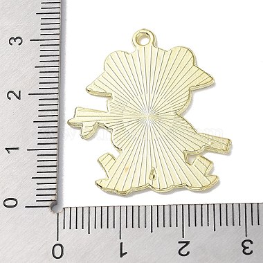 Zinc Alloy Pendant(ENAM-Z009-03A-LG)-3