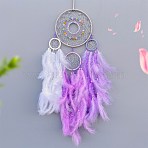 Woven Web/Net with Feather Decorations, with Iron Ring, for Home Bedroom Hanging Decorations, Plum, 730mm(PW-WG21777-02)