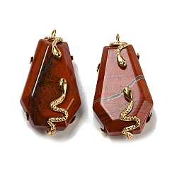 Natural Red Jasper Pendants, with Ion Plating(IP) Stainless Steel Color Plated 304 Stainless Steel Snake Findings, Hexagon, 37x20x12.5mm, Hole: 3.5mm(STAS-E050-01G-04)