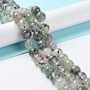 Natural Chrysocolla Beads Strands, Round, 10mm, Hole: 1mm, about 39pcs/strand, 15.47 inch(39.3cm)(G-C093-A02-03)