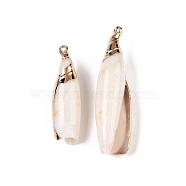 Natural Sea Shell Pendants, Shell Shaped Charms with Golden Tone Iron Loops, Seashell Color, 31~52x9~15x7~13mm, Hole: 1.4~1.8mm(SSHEL-N038-29)