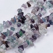 Natural Fluorite Stone Bead Strands, Chip, 4~10x4~6x2~4mm, Hole: 1mm, about 210pcs/strand, 35.4 inch(G-R192-05)