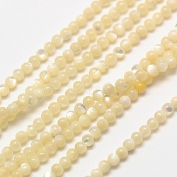 Shell Round Beads Strands, Natural Color, Creamy White, 2mm, Hole: 0.8mm, about 184pcs/strand, 16 inch(G-A130-2mm-02)