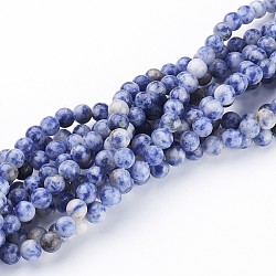 Gemstone Beads, Natural Blue Spot Jasper, Round, Cornflower Blue, 6mm, Hole: 0.8mm, about 64pcs/strand, 16 inch(X-GSR6mmC036)