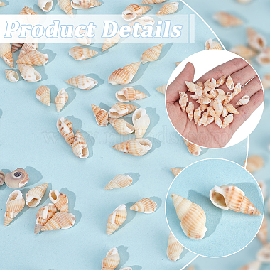 500Pcs Natural Spiral Shell Beads(SHEL-SP0001-05)-5