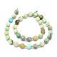 Chapelets de perles en turquoise naturelle(G-O201B-66A)-3