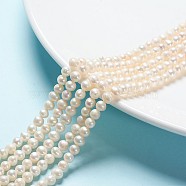 Natural Cultured Freshwater Pearl Beads Strands, Nice for Mother's Day Jewelry Making, Potato, White, 5~6mm, Hole: 0.8mm, about 55pcs/strand, 13.78 inch(35cm)(A23WT011)