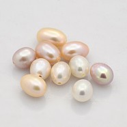 Natural Cultured Freshwater Pearl Beads, Half Drilled, Rice, Grade AAA, Mixed Color, 7~8x5~5.5mm, Half Hole: 1mm(PEAR-M005-M)