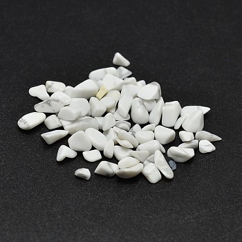 Howlite Chip Beads, No Hole/Undrilled, 2~8x2~4mm, about 340pcs/20g