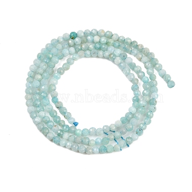 amazonite naturel rang&eacute;es de perles(X-G-P279-42-2mm-01)-4