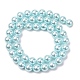 hebras de perlas de concha electrochapadas(BSHE-G041-8mm-03)-2