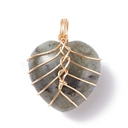 Natural Labradorite Pendants, with Light Gold Tone Copper Wire Wrapped, Heart, 26x21x16mm, Hole: 6mm(PALLOY-JF01282-03)